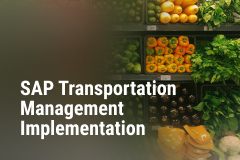 SAP Transportation Management implementation for a large retailer